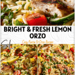 Bright Lemon Chicken Orzo Salad with fresh herbs, grilled chicken, and colorful vegetables in a savory pasta salad bowl 26
